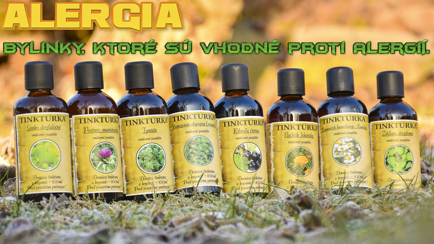 Plante medicinale împotriva alergiilor Panakeia