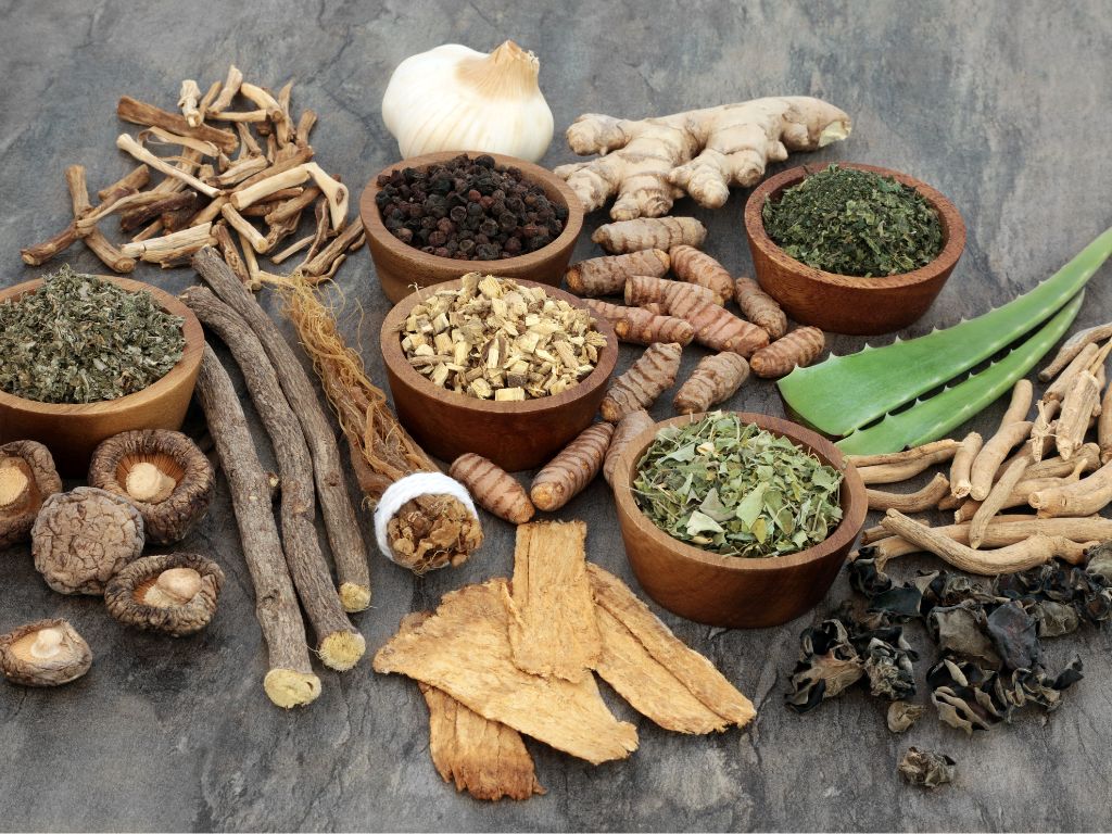 Plante medicinale cehe și slovace